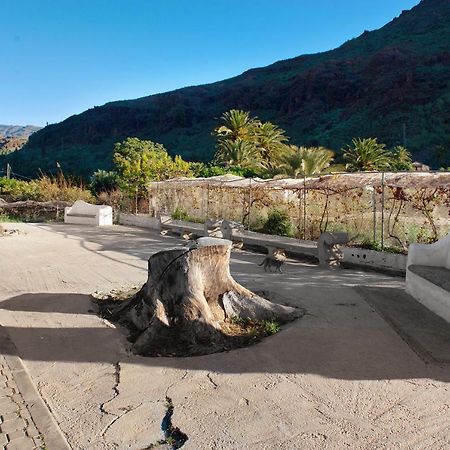 Casa De La Eterna Primavera San Bartolomé Exteriér fotografie